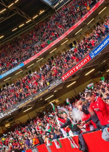 Crowds or supporters inside Principality Stadium watching Rugby World Cup.