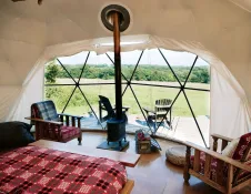 The interior of the Farm Dome at Fforest with views outside of the forest.