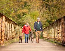 A woman and a man walking two dogs over a wooden bridge.