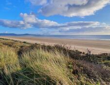 sandy beach on a sunny day viewed from marram grass.