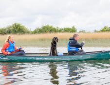 Two people and a dog in a canoe on a river.