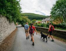 Three hikers with a dog walking along a village road. 