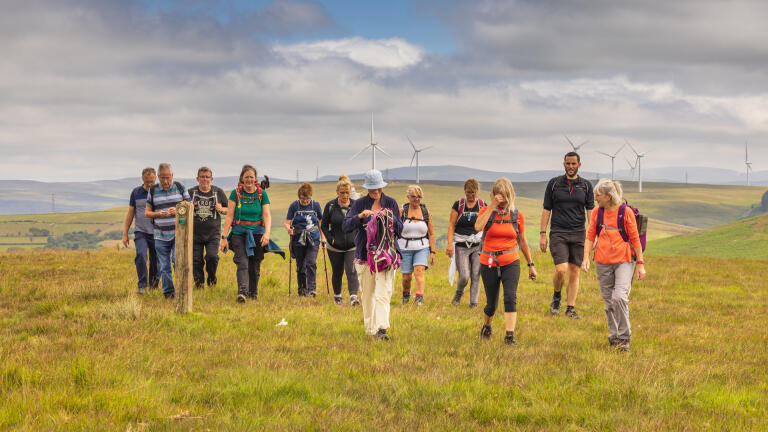 A group of walkers on a hillside with wind turbines in the background.