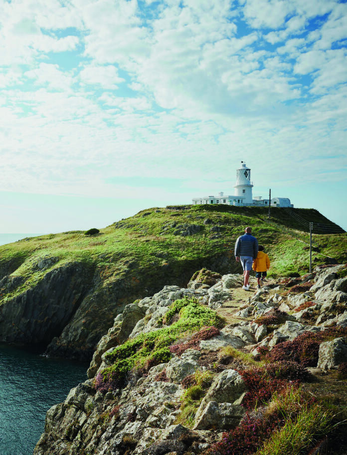 rocky and grassy outcrops on coast.