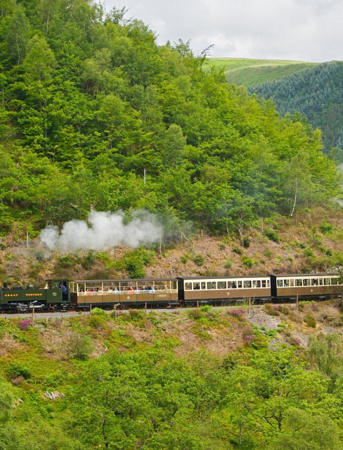 steam train and surrounding countryside.