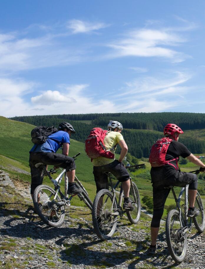 Three mountain bikers looking down a hill.