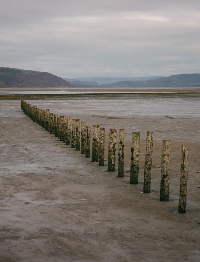 Breakwater made of wooden posts in sand on low tide