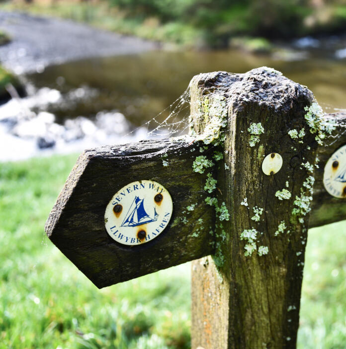 A wood waymarker post for the Severn Way.