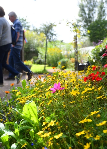 Personen die durch einen Garten spazieren mit gelben Blumen im Vordergrund.