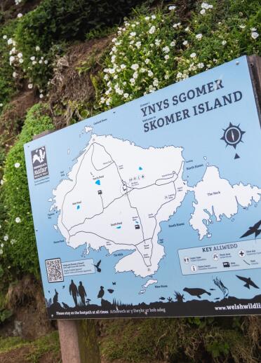 An info board showing a map of Skomer Island. 