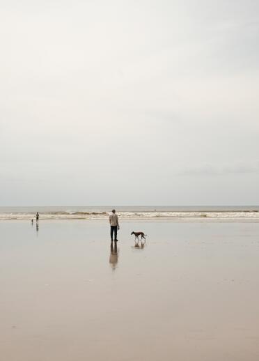 man and Whippet dog on sandy beach near the sea.