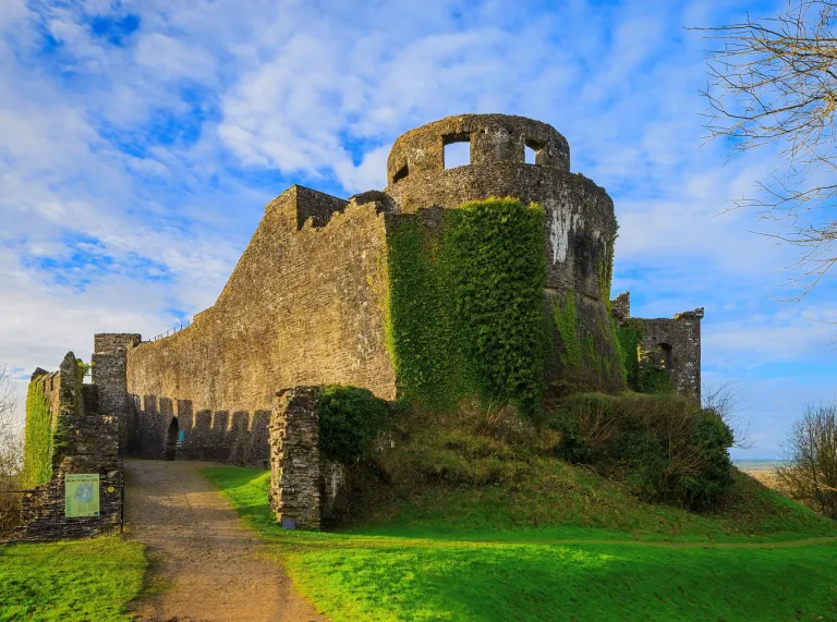 The entrance to a castle covered in ivy and moss in green open pastures.