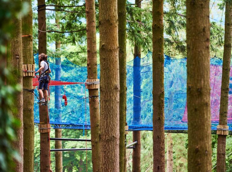 person on blue nets of a high ropes course suspended between trees in a forest.