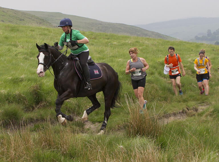 horse rider and horse plus group of runners.