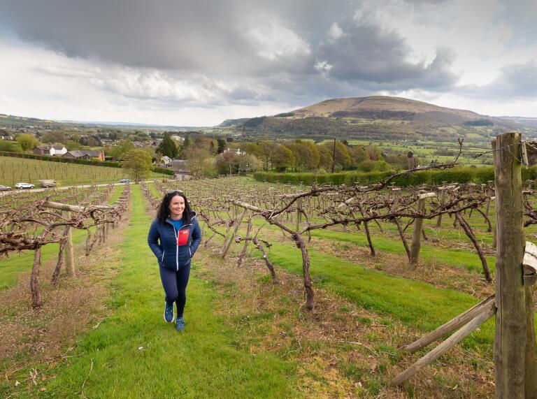 A woman walking amongst grape vines on a hillside.