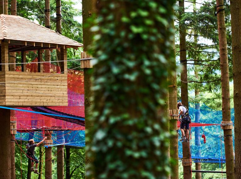 Image of ropes and nets suspended from trees and a wooden cabin in some trees.