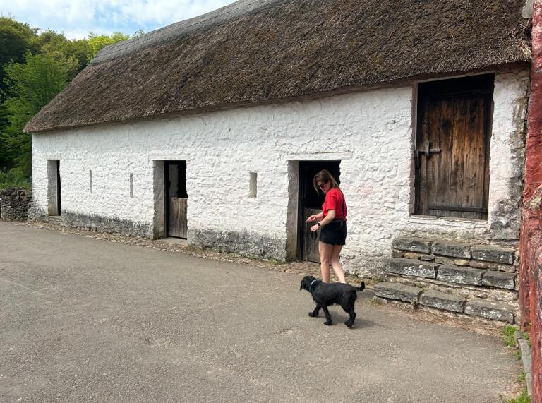 Dog with owner walking outside museum outbuildings 