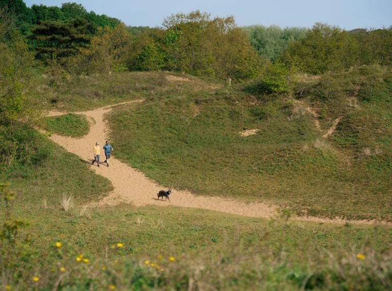 Two humans and a dog exploring a sandy path through grassy dunes. 