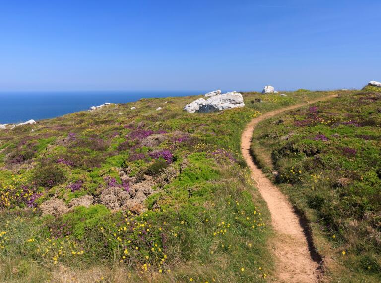A narrow hillside pathway with ground flowers, grass and sea views.