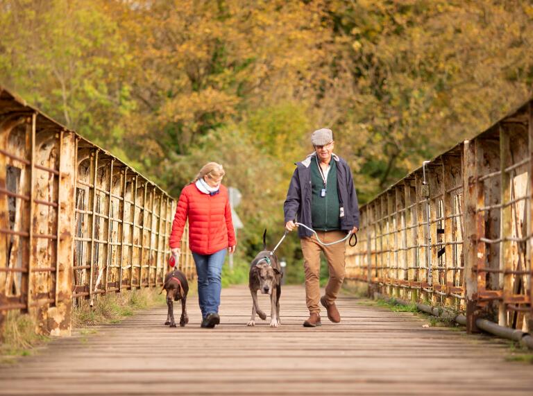 woman and man walking dogs on rusty bridge.