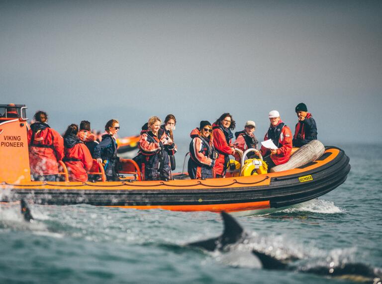 Dolphin Spotting, Ramsay Island Boat Trips.