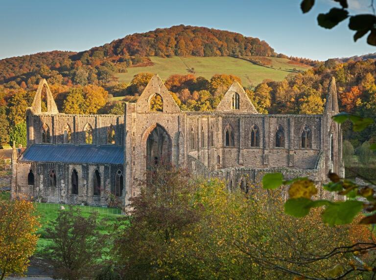 Exterior view of abbey ruins in autumn.