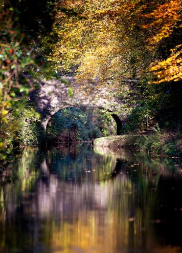 Spiegelungen auf einem Kanal von der Steinbrücke und Herbstfarben der Blätter.