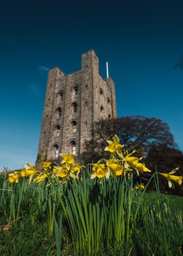 An imposing castle tower with daffodils in front.
