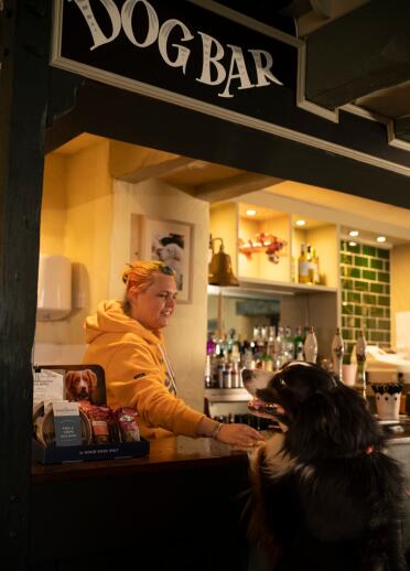 A dog eagerly leaning towards the bar at a pub, anticipating a treat or a friendly pat from the bartender.