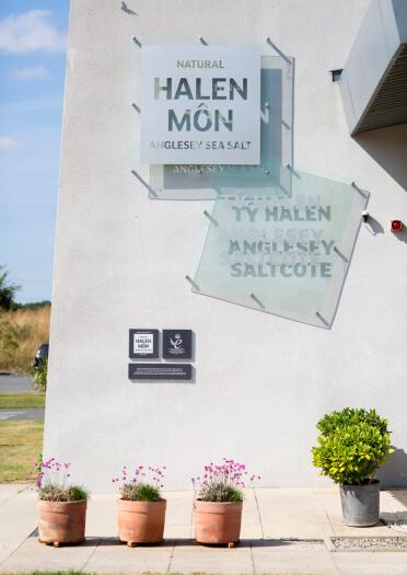 Halen Mon signs outside the white building entrance with green plant and pink flowers below. 