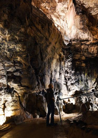 Unterirdische Höhle im National Showcaves Centre for Wales, Dan yr Ogof.