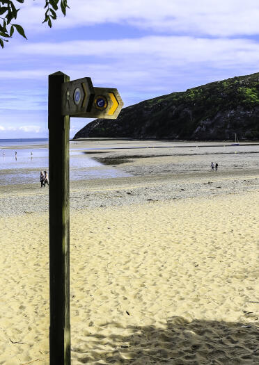 A wooden Wales Coast Path sign post on a sandy beach.