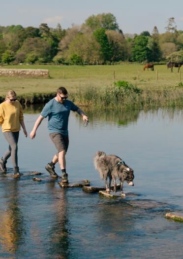 Two humans and a dog walking on stepping stones over a wide shallow river. 