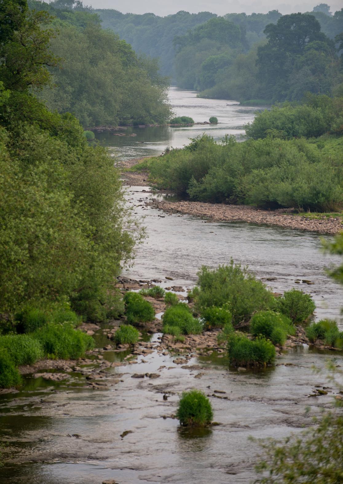 What To See Along The River Wye Visit Wales   SVW C08 1718 0007 