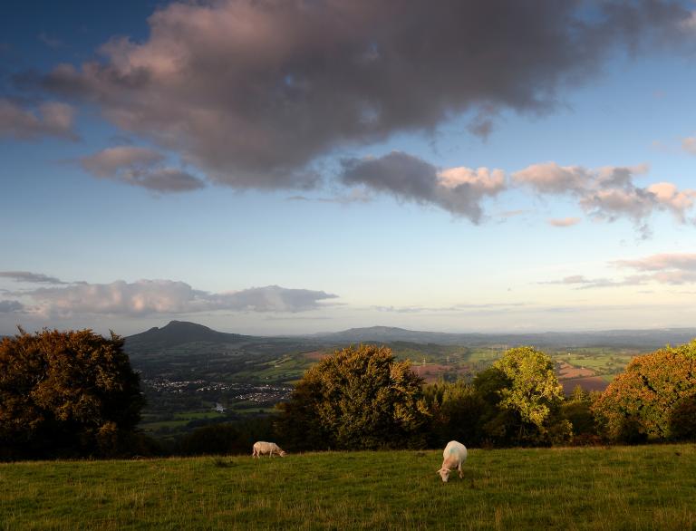 View of sheep and mountains in Abergavenny, South Wales.