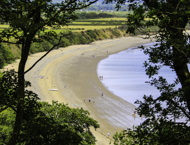 A wide sandy beach seen through trees.