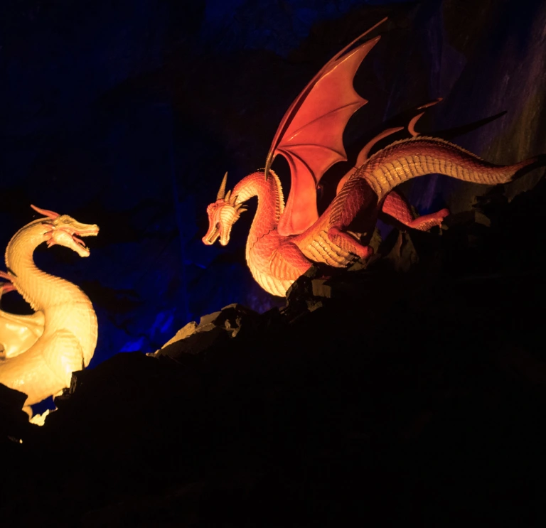 Two Welsh Dragons lit up in the dark.