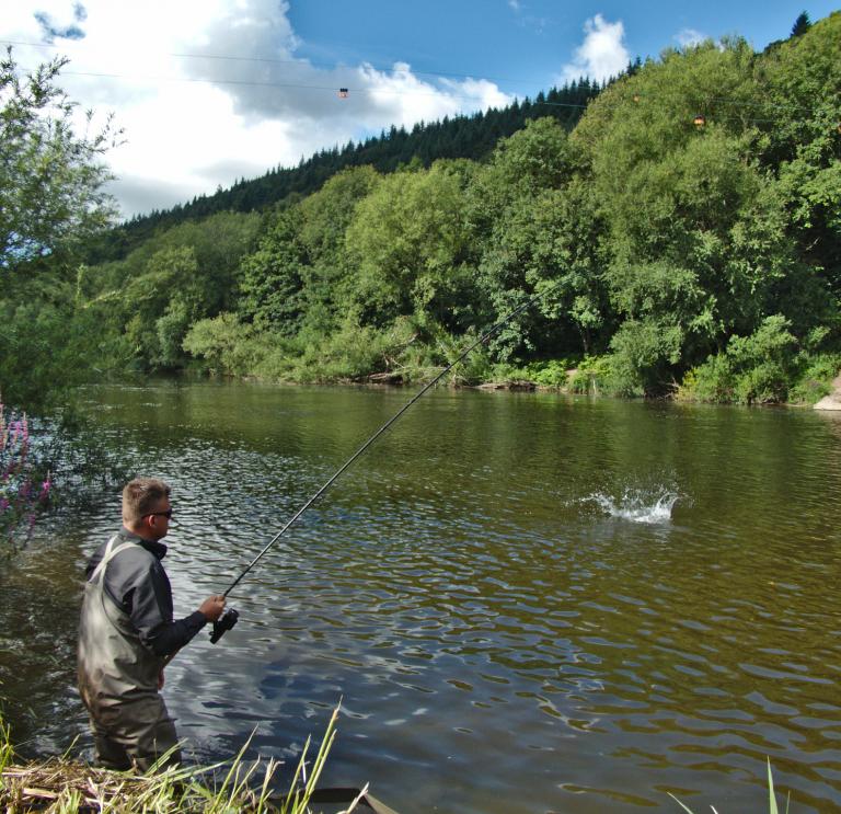 Fly Fishing For Coarse Fish - Peaks Fly Fishing