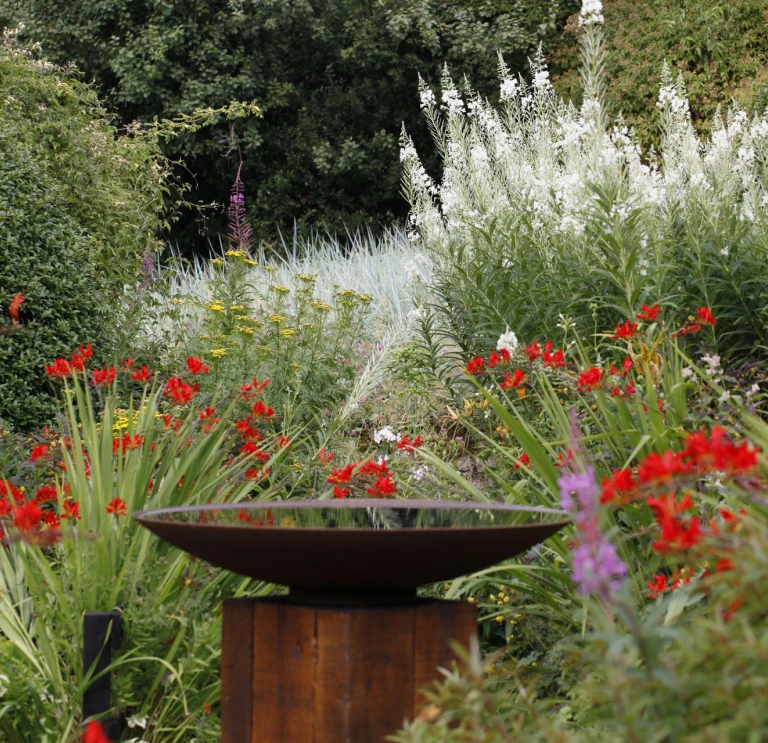 Bird bath and colourful flowering plants.