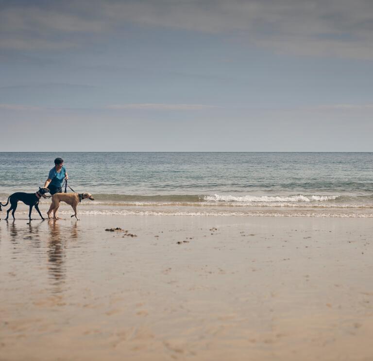Two people with three dogs walking along a sandy beach.