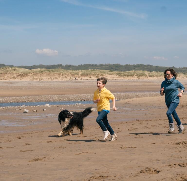 Two adults, a child and a dog running around on a wide sandy beach.