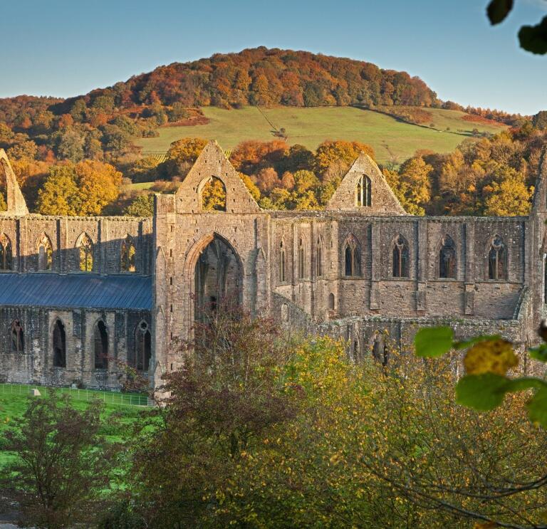Exterior view of abbey ruins in autumn.