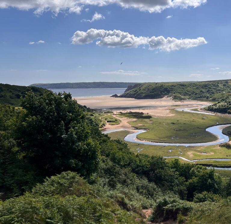 cliffs and field leading to sandy beach.