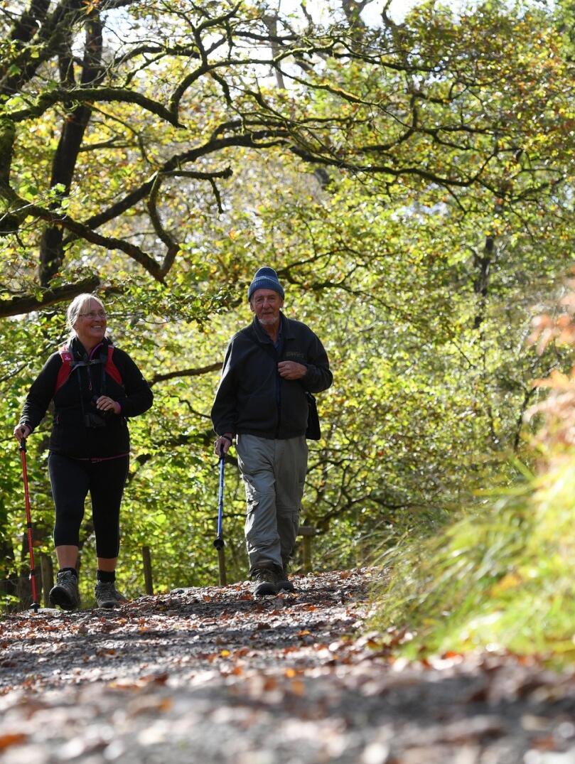 Walkers on the waterfall trail.