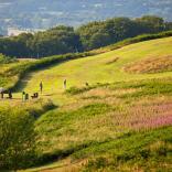 Llandrindod Wells Golf Club