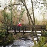 A woman and a dog on a wooden bridge over a woodland stream.