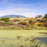 A green moss covered lake in front of a colourful slate bed