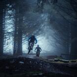 Two mountain bikers on a trail through a dark forest.