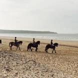 Four horses and riders on a sandy beach.