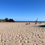 Ein breiter Sandstrand mit zerklüfteten Klippen auf der einen und Sanddünen auf der anderen Seite.